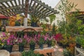 Different types of trees, shrubs and flowers, flower pots, and decor for garden and outdoor patios in local nursery, Orcutt, Cali