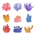 Different Types Of Tropical Reef Coral Collection