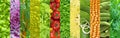 Different types of vegetables in a collage Royalty Free Stock Photo