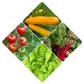 Different types of vegetables in the garden in a collage Royalty Free Stock Photo