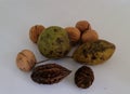 Walnuts seeds and nutshells Royalty Free Stock Photo