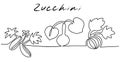 Different types of zucchini in the garden