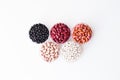 Different varieties of beans in round plates. Olympic rings Royalty Free Stock Photo