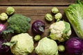 Different varieties of cabbages on wooden background. Organic fresh vegetables - cauliflower, kohlrabi, broccoli, purple cabbage. Royalty Free Stock Photo