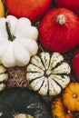 Different varieties of colorful pumpkins on a farmers market stall