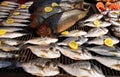 Different varieties of fish ready for grilling Royalty Free Stock Photo