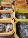 different varieties of fishes and prawns with ice in container for sale in indian fish market