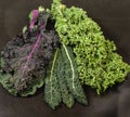 Different varieties of kale leaves Royalty Free Stock Photo