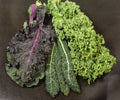 Different varieties of kale leaves