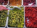 Different varieties of olives in casseroles Royalty Free Stock Photo