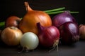 Different varieties of onions on black, vegetable background, purple, white, yellow onion, sweet onion, hot onion close-up, Royalty Free Stock Photo