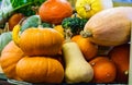 Different varieties of pumpkins at the farmer`s market. Harvest festival, autumn halloween. Green, orange, yellow and Royalty Free Stock Photo