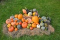 Different varieties of pumpkins and squashes on straw