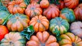 Different varieties pumpkins on straw. Colorful vegetables top view.