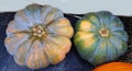 Different varieties pumpkins on straw. Colorful vegetables top view.