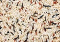 Different varieties of rice background Royalty Free Stock Photo