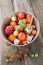Different varieties of tomatoes with garlic, basil. Royalty Free Stock Photo