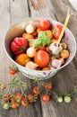 Different varieties of tomatoes with garlic, basil. Royalty Free Stock Photo