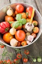 Different varieties of tomatoes with garlic, basil. Royalty Free Stock Photo