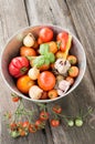 Different varieties of tomatoes with garlic, basil. Royalty Free Stock Photo