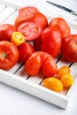 Different varieties of tomatoes on a white tray. Colorful red and yellow fresh ripe tomatoes Royalty Free Stock Photo
