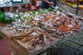 Variety of fresh fish, calmari, shrimps on the fish market Royalty Free Stock Photo