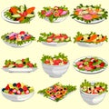 Different variety of fresh and healthy salad