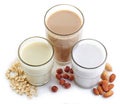 Different vegan milk Royalty Free Stock Photo