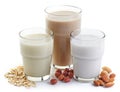 Different vegan milk Royalty Free Stock Photo