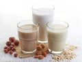 Different vegan milk Royalty Free Stock Photo