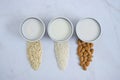 Different vegan milk: almond milk, hazelnut milk and oat milk