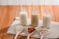 Different vegan milk Royalty Free Stock Photo