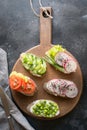 Different vegan sandwiches with vegetables, radish, tomato, rye bread on black. Appetizer for party Royalty Free Stock Photo