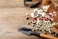 Different vegetable seeds and gardening tools on wooden table, closeup Royalty Free Stock Photo