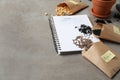 Different vegetable seeds and notebook on grey table. Space for text Royalty Free Stock Photo