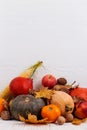 Different vegetables, pumpkins, apples, pears, nuts, corn, tomatoes and dry leaves on white wooden background. Autumn Harvest Royalty Free Stock Photo