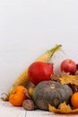 Different vegetables, pumpkins, apples, pears, nuts, corn, tomatoes and dry leaves on white wooden background. Autumn Harvest Royalty Free Stock Photo