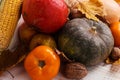 Different vegetables, pumpkins, apples, pears, nuts, corn, tomatoes and dry leaves on white wooden background. Autumn Harvest Royalty Free Stock Photo