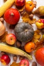 Different vegetables pumpkins, apples, pears, nuts, corn, tomatoes, dry yellow leaves on white wooden background. Autumn Harvest Royalty Free Stock Photo