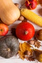 Different vegetables pumpkins, apples, pears, nuts, corn, tomatoes, dry yellow leaves on white wooden background. Autumn Harvest Royalty Free Stock Photo