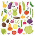 Different vegetables. Vector set