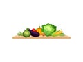 Different vegetables on a wooden board. Vector illustration on white background. Royalty Free Stock Photo