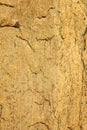 A different vertical frame of cracked rock texture natural background. Royalty Free Stock Photo
