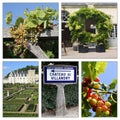 Different views of the Loire valley