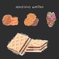 Different wafer cookies waffle cakes pastry cookie biscuit delicious snack cream dessert crispy bakery food vector