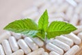 Different white pills and foliage mint on a wooden background Royalty Free Stock Photo
