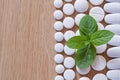 Different white pills and foliage mint on a wooden background Royalty Free Stock Photo