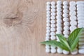 Different white pills and foliage mint Royalty Free Stock Photo