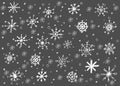 Different white snowflakes on a dark background