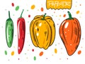 Different whole sweet peppers and chilli. Hand drawn vector illustration in cartoon style